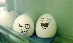 به میزبانی دانشگاه پیام نور گلستان نخستین دوره مسابقه بزرگ نجات تخم‎مرغ در گلستان برگزار می‎شود